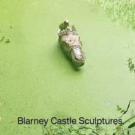 Bed and Breakfast Foxhollow House