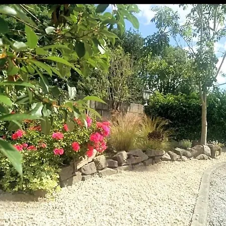 Foxhollow House 3* Blarney