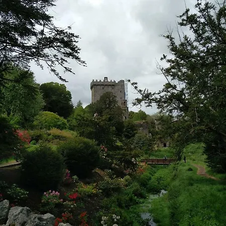 Foxhollow House