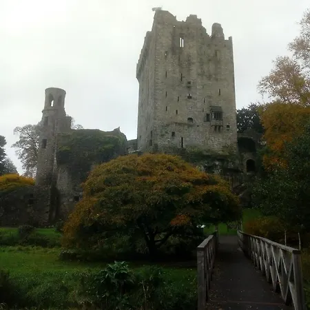 Foxhollow House Blarney