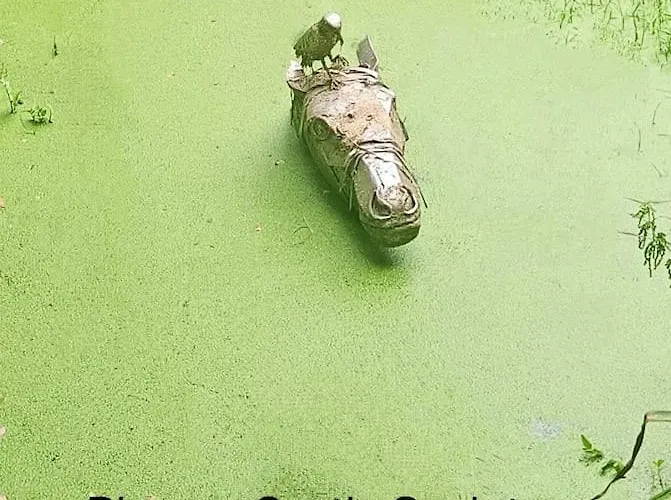 Bed & Breakfast Foxhollow House