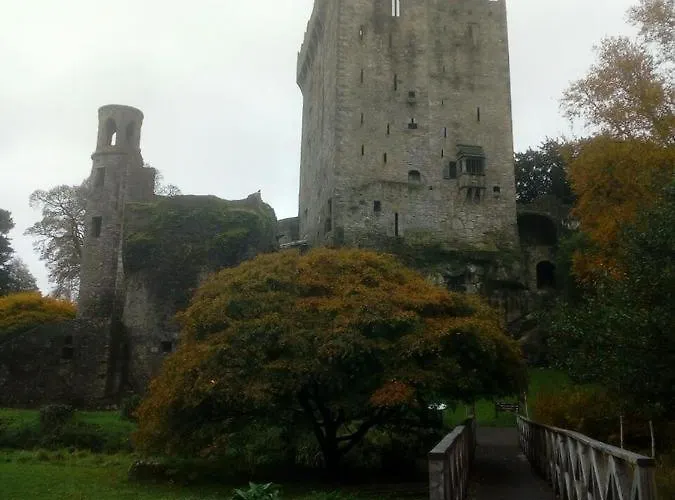 Foxhollow House Blarney